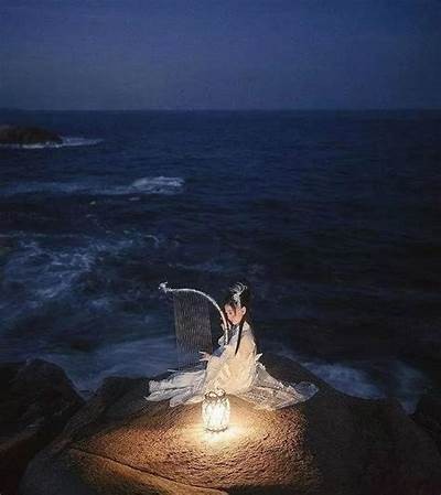 美丽野花：抖音短视频记录自然之美