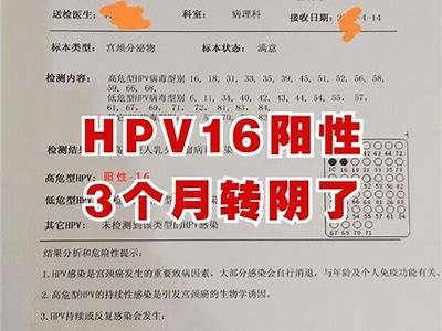 揭秘转阴全过程：从阳性到阴性，我的真实经历分享