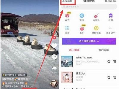 揭秘抖音去小Daya的技巧，轻松提升短视频播放量