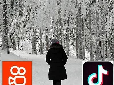抖阴成版人快手APP：畅享精彩短视频的全新体验