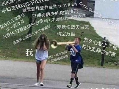 抖音爆红猫咪视频集合，蓝奏云汇总免费下载