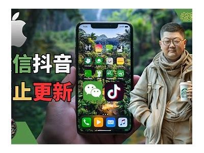 苹果手机如何安装抖阴实践步骤详解与注意事项