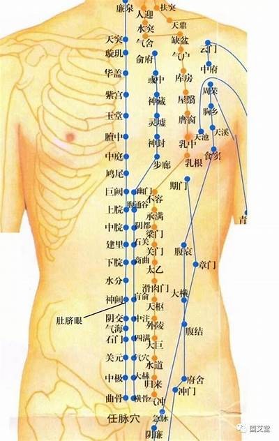探索nrop19抖阴：功能介绍与使用技巧大揭秘