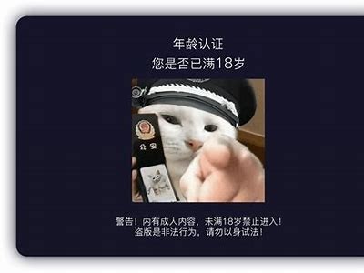 抖阴F4thor：揭秘这款热门使用的使用技巧与体验