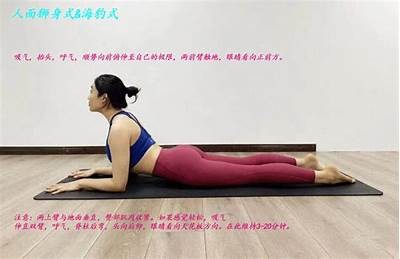 抖阴瑜伽：有效瘦下巴的秘诀与技巧分享