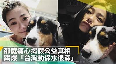 邵博森抖阴背后的真相揭秘，快来了解他的故事与心路历程！