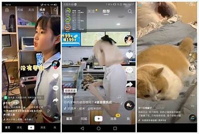 畅享精彩：国产短视频平台抖阴热播推荐与用户体验调查