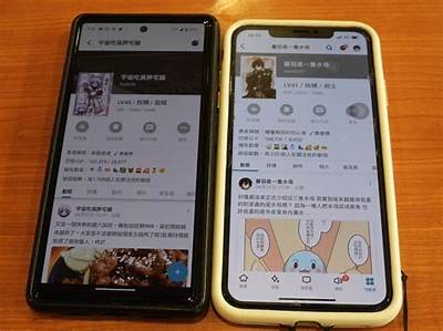 猫咪和抖阴：探讨宠物与社交平台的奇妙联系