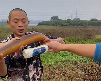 黄鳝进逼！揭秘抖阴背后的热门话题与讨论