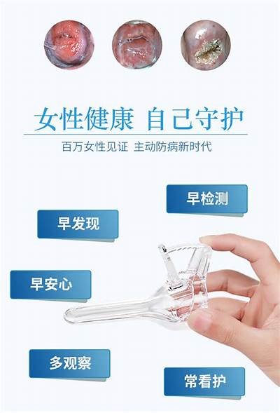 探秘抖阴国际 ed2k：如何安全高效下载资源指南