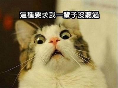当然可以！请提供您想要的标题或主题，以便我为您生成一个合适的标题。