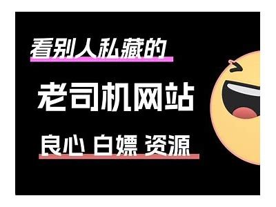 抖阴老司机软件网址分享：轻松获取最新资源与使用技巧