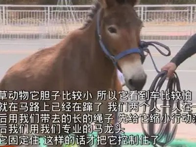 畅享亚洲抖阴短视频，免费在线精彩观看体验