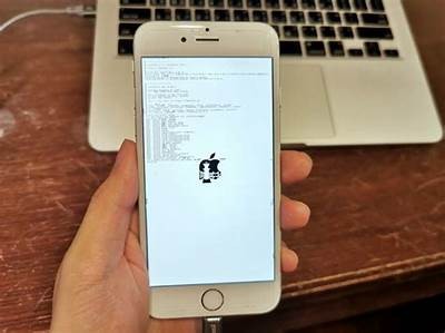 详细解析：如何在苹果设备上破解抖阴APP使用指南